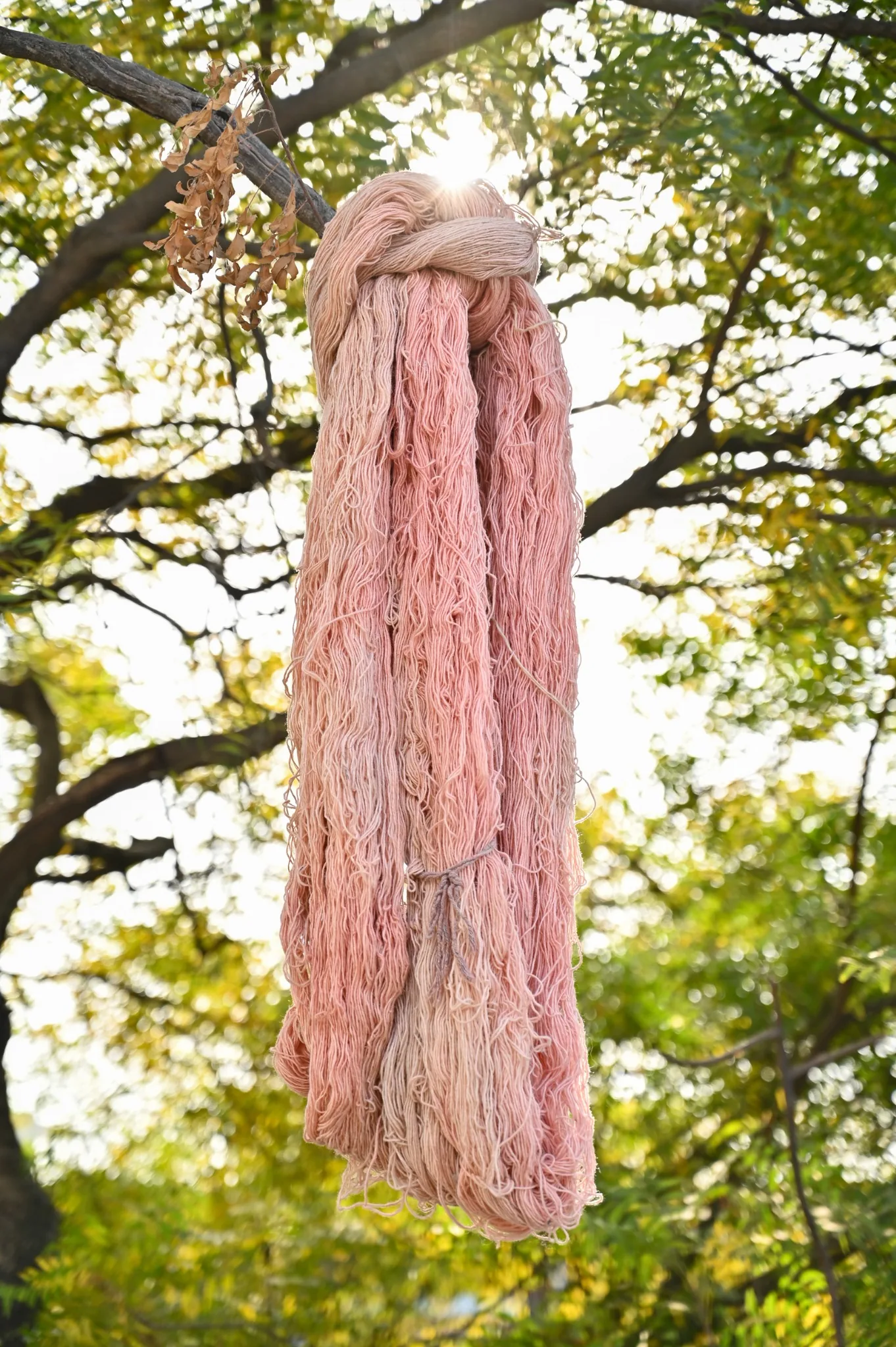 Jut Rugs in India